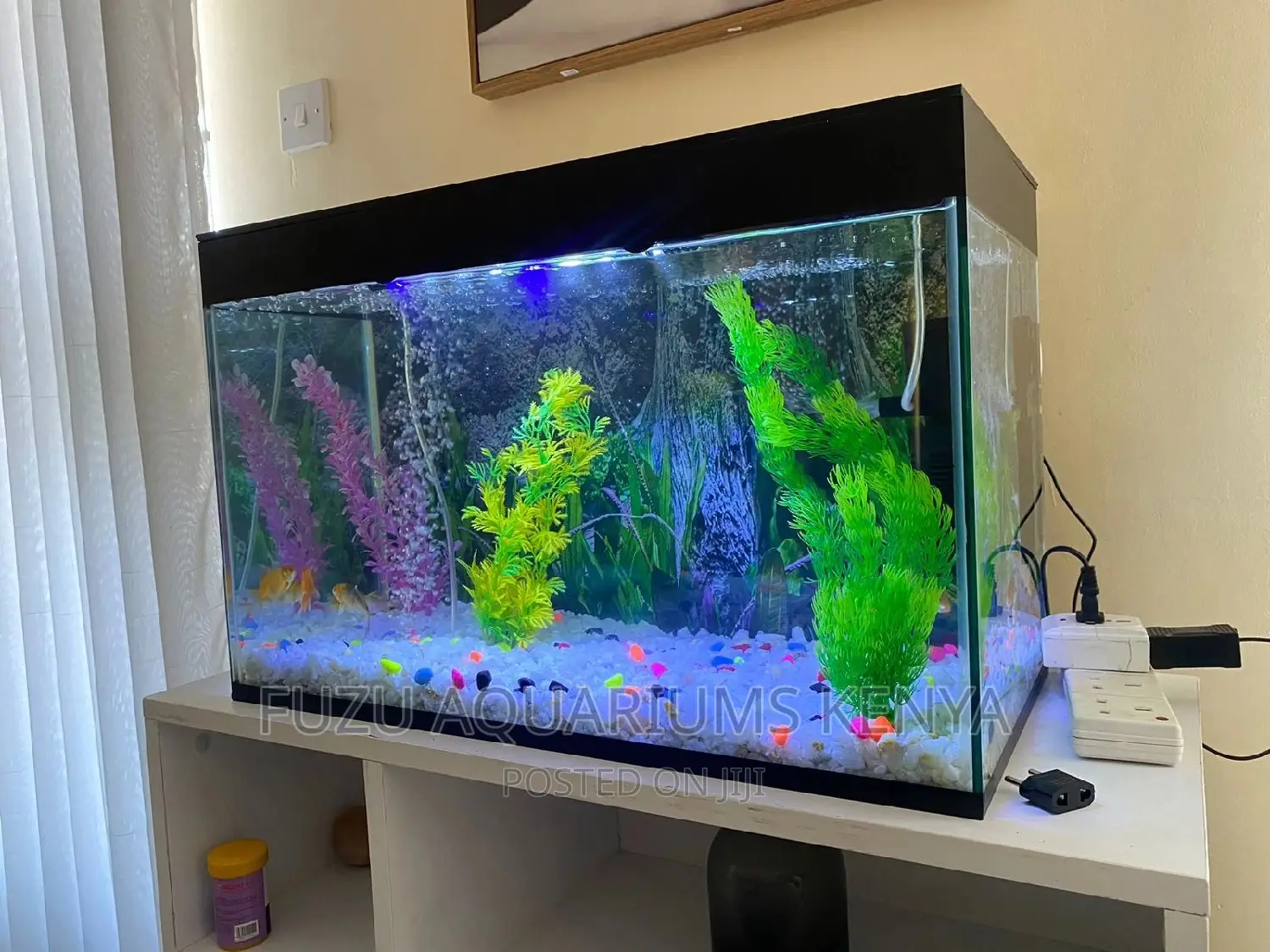 Fully Equipped Aquarium