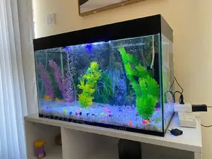 Fully Equipped Aquarium