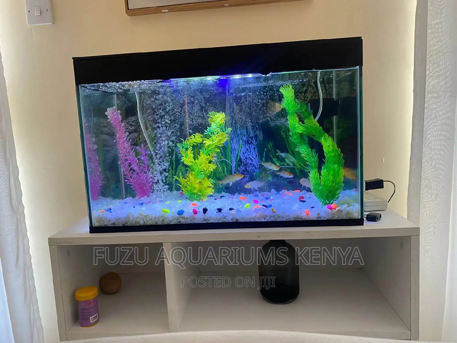 Full Aquarium With Complete Set Up