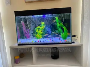 Full Aquarium With Complete Set Up