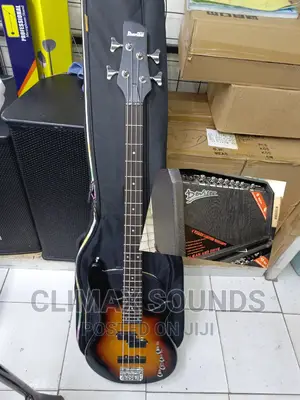 Bass Guitar + Bag+ Guitar Combo