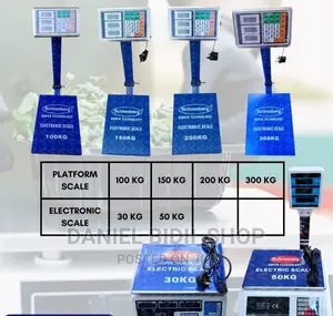 100kgs Electric Platform Scale