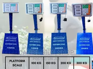 300 Electric Platform Scale