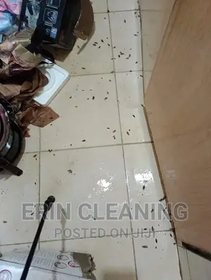 Fumigation Services at an Affordable Price