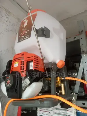 RBS-Petrol Back Pack Sprayer