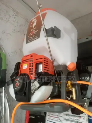 RBS-Petrol Back Pack Sprayer