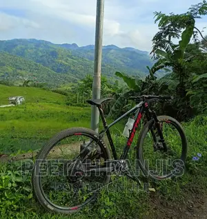 Carbon Frame Twitter Preditor Pro 29er