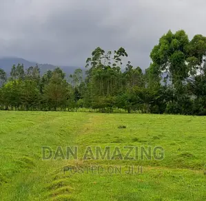 40 Acres Farmland for Sale in Nyandarua County
