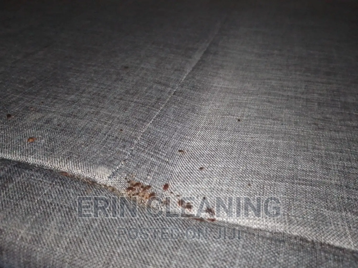 Bedbugs Infestation, Cockroaches,Sofa Cleaning