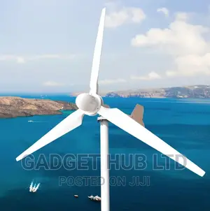 Wind Generator Wind Turbine 1000W 12/24/48v