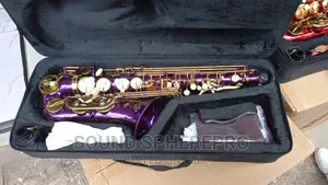 Purple Alto-Saxaphone