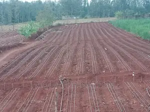 Drip Irrigation System