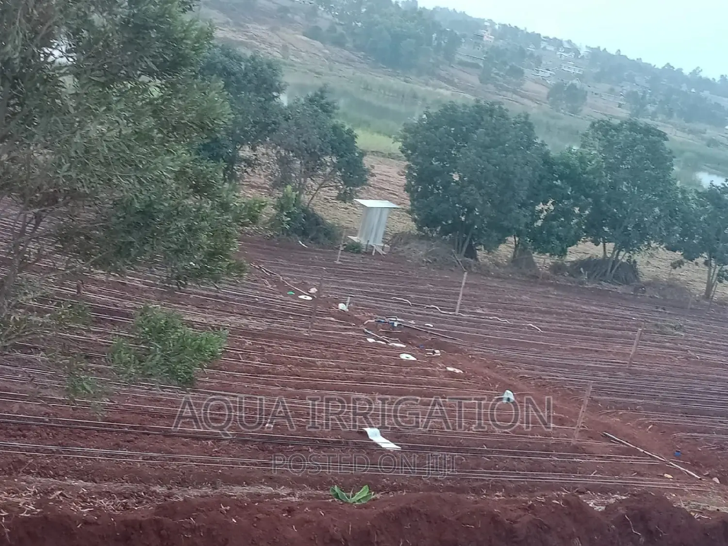 Drip Irrigation System