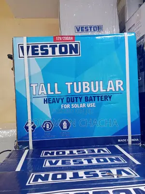 Best Veston Tall Tubular Heavy Duty Battery