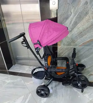 Push Tricycle With Parental Control/Canopy.