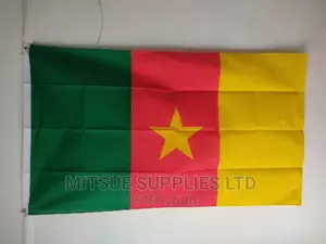 National Flag of Cameroon 38 by 60 Inches Polyester