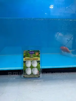 Weekend Feeder for Aquarium Fish