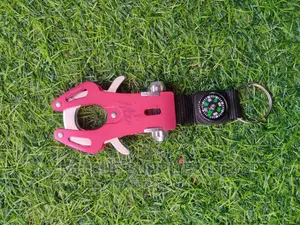 Carabiner With Compass Cliff Lock