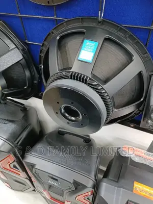 Derwel 18CF101 Bass Speaker 18 Inches