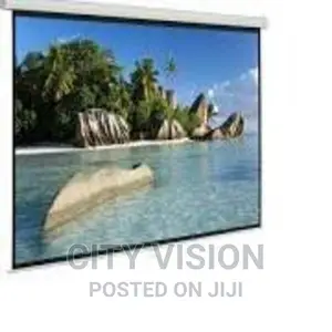 Manual Projector Screen 240×240cm Projector Screen