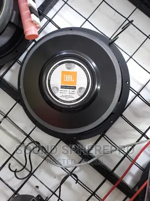 JBL 12 Inch Naked Speaker
