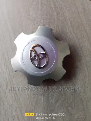 Centre Wheel Caps TX Prado 150