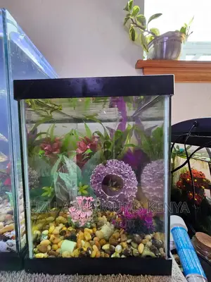 Small Aquarium 25 Litres