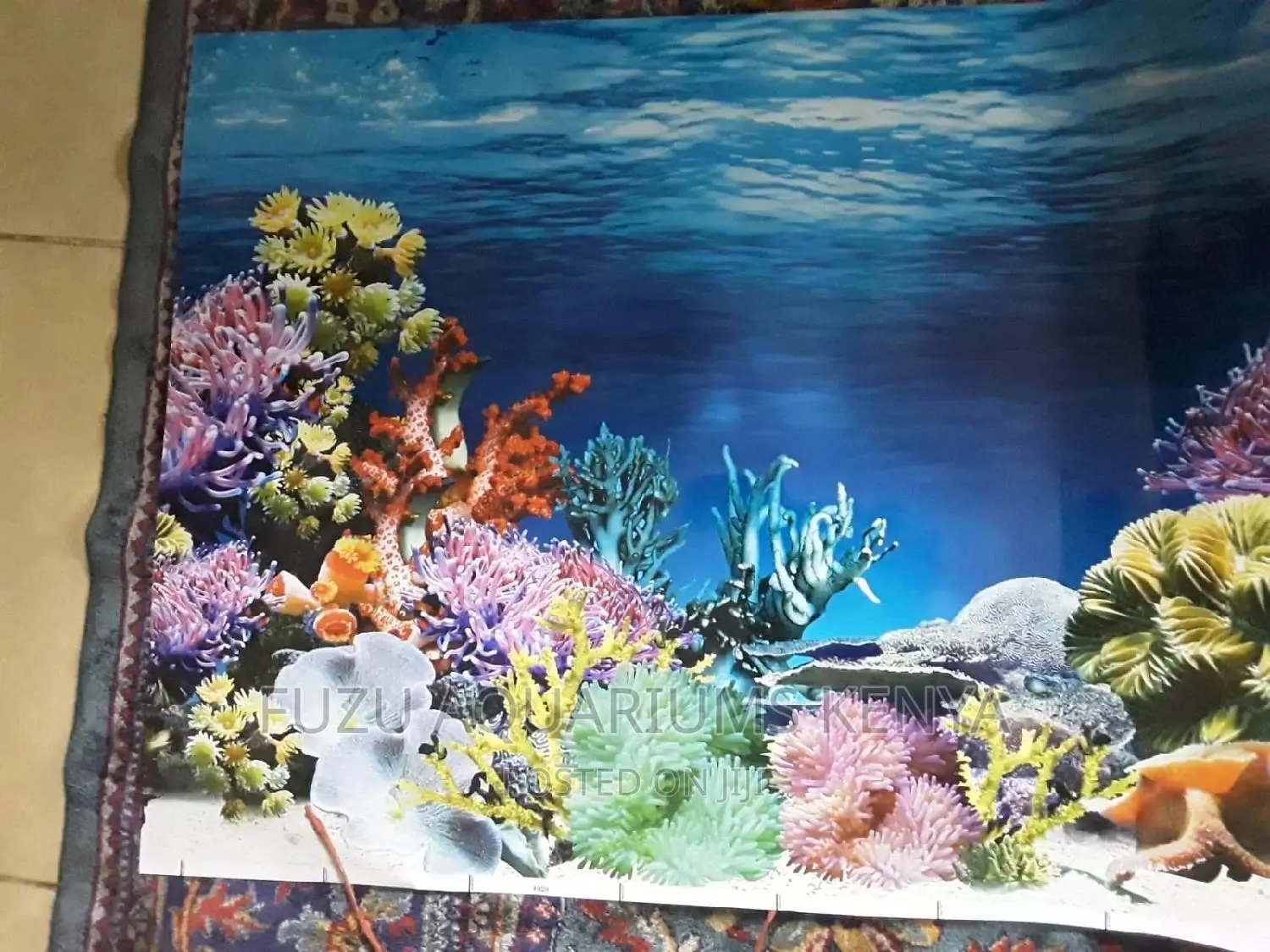 Coral Aquarium Background