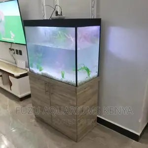 2ft Aquarium With Cabinet
