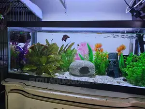 Table Top Decorated Aquarium With Fish