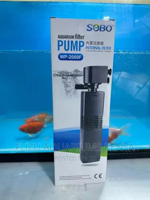 Filter Pump - Quality Filter Pump