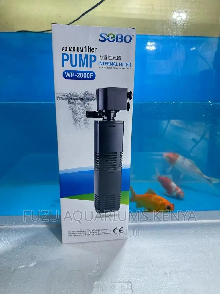Filter Pump - Quality Filter Pump