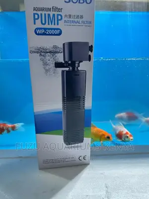 Filter Pump - Quality Filter Pump