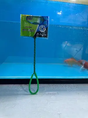 Fish Net - Fish Net for Aquarium Fish