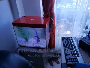 Small Red Aquarium