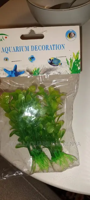 Aquarium Small Plants