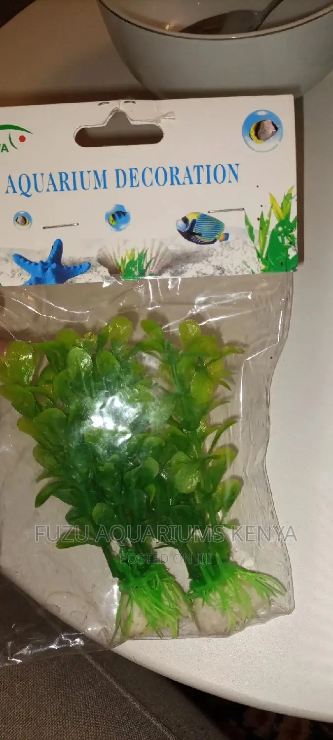 Aquarium Small Plants