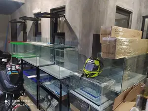 All Sized Aquariums