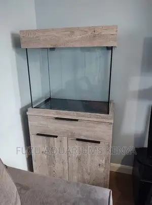 Classy Aquarium - Fully Equipped