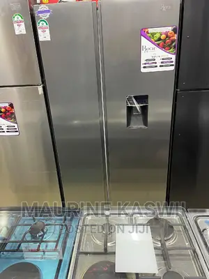 Roch Side by Side Fridge 540l