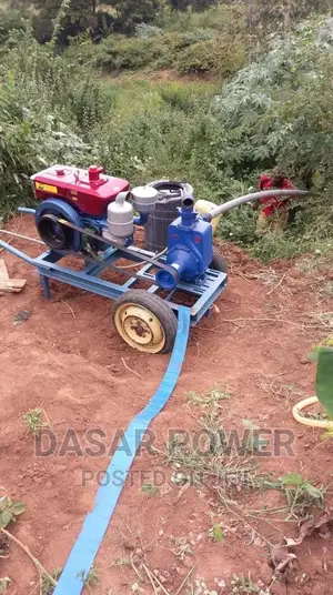 Fabricated Diesel Water Pump