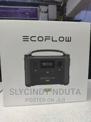 Ecoflow Pro
