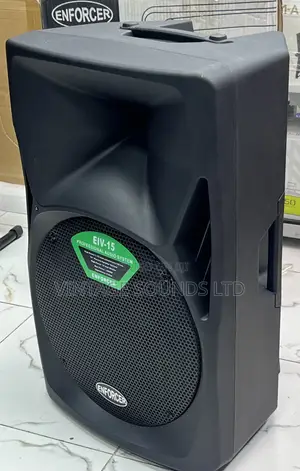Enforcer Eiv 15 Inch Professional Audio Speaker ( Plastic)