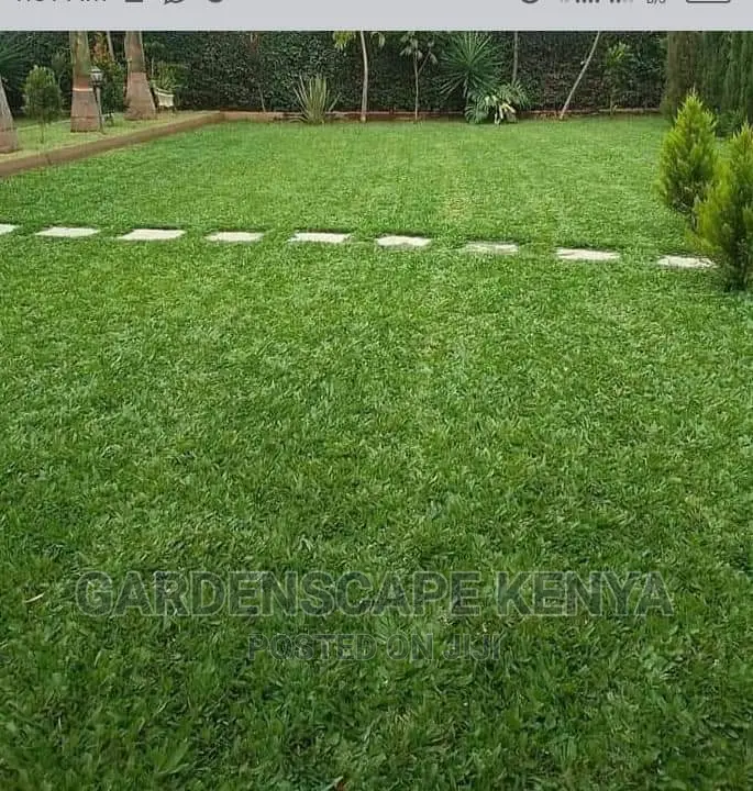 Garden Plants,Seeds,Trees, Fertilizers and Lawn Grass