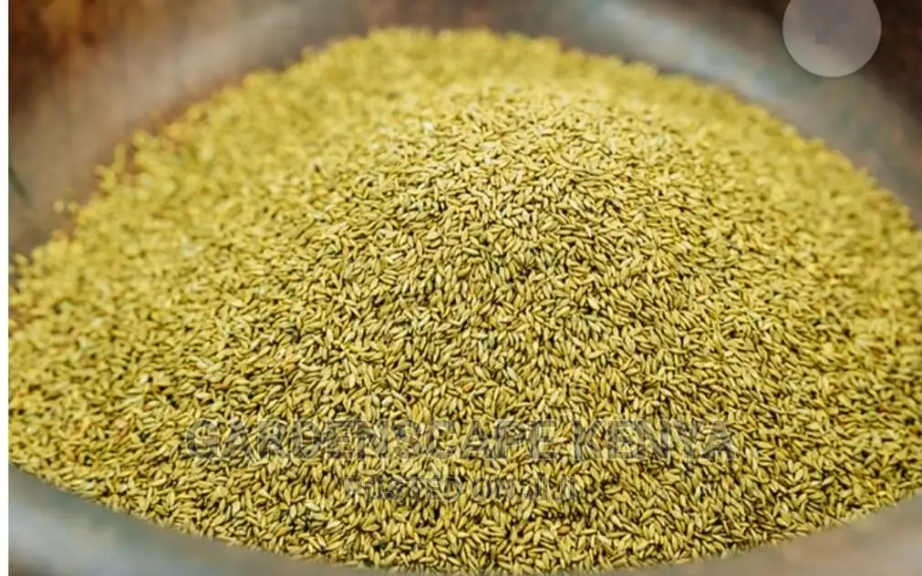 Garden Plants,Seeds,Trees, Fertilizers and Lawn Grass