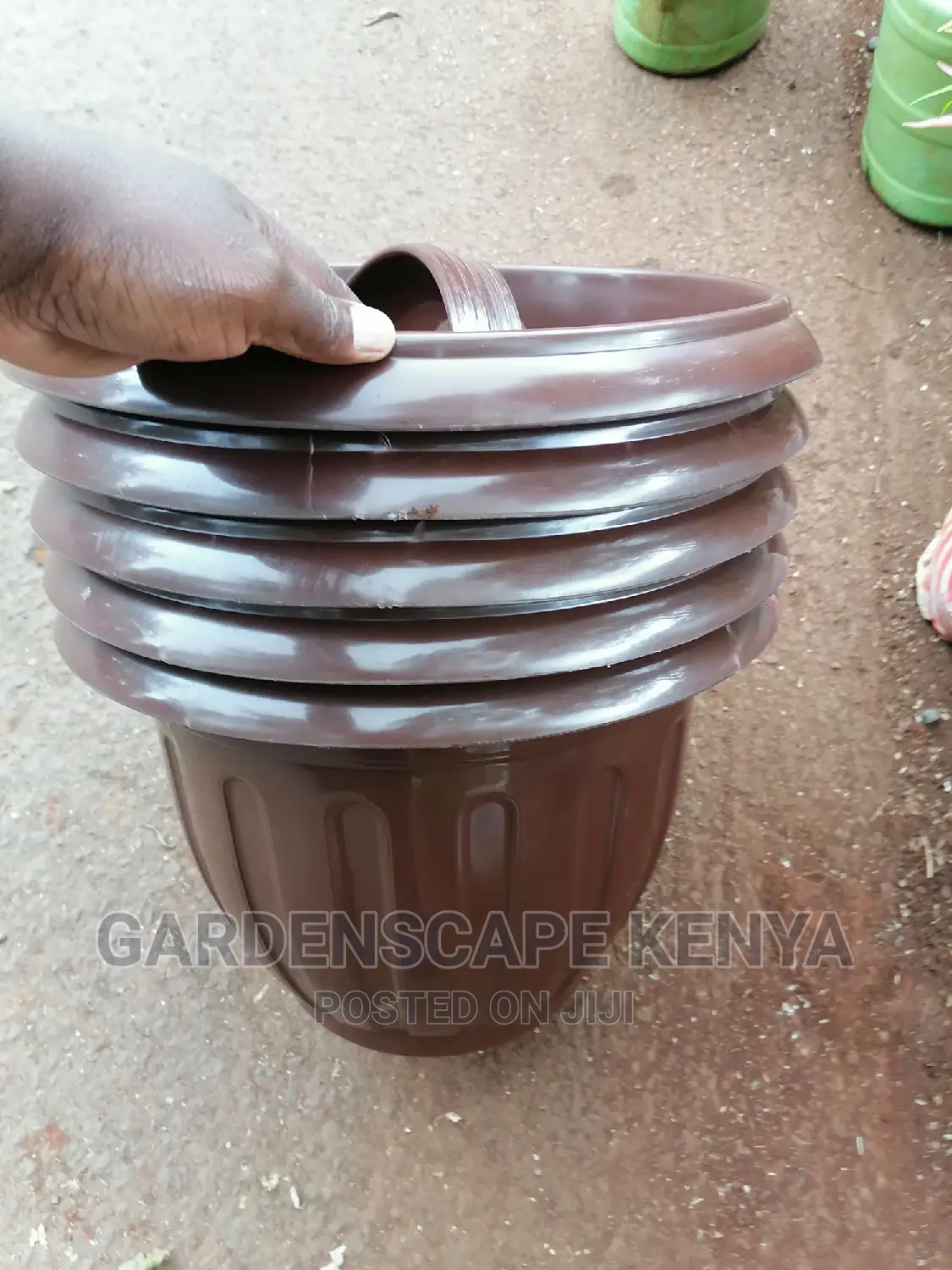 Garden Plants,Seeds,Trees, Fertilizers and Lawn Grass