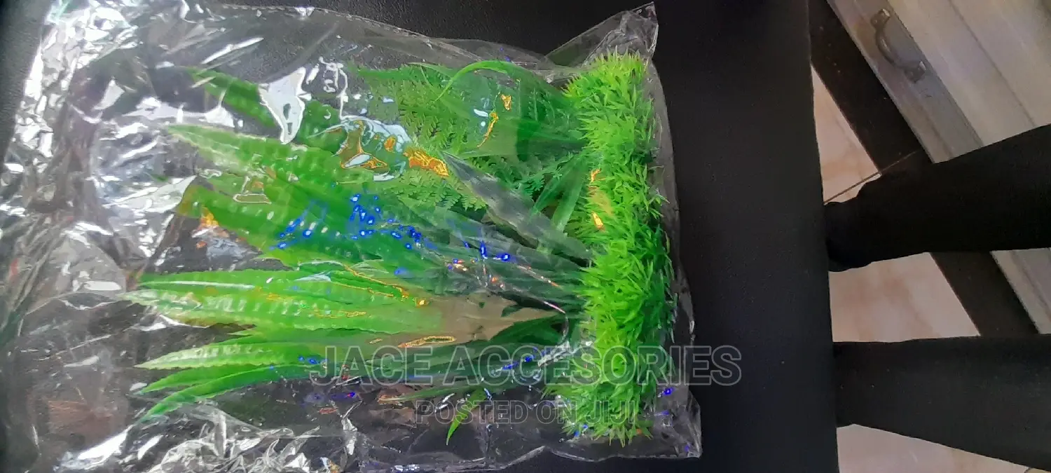 Acquarium Artificial Plants