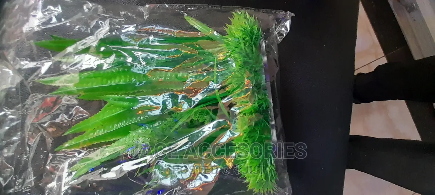 Acquarium Artificial Plants