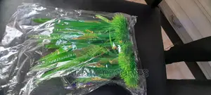 Acquarium Artificial Plants