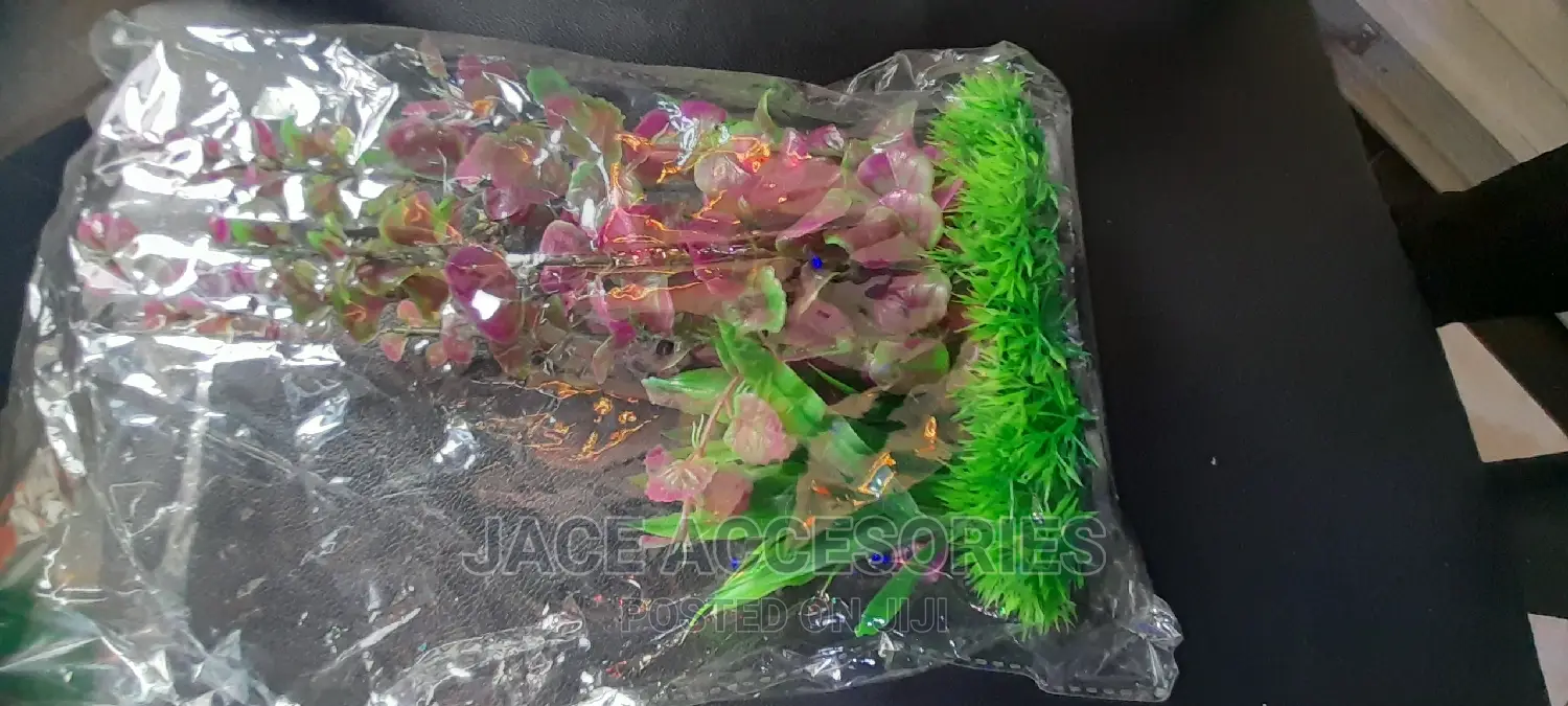 Acquarium Artificial Plants